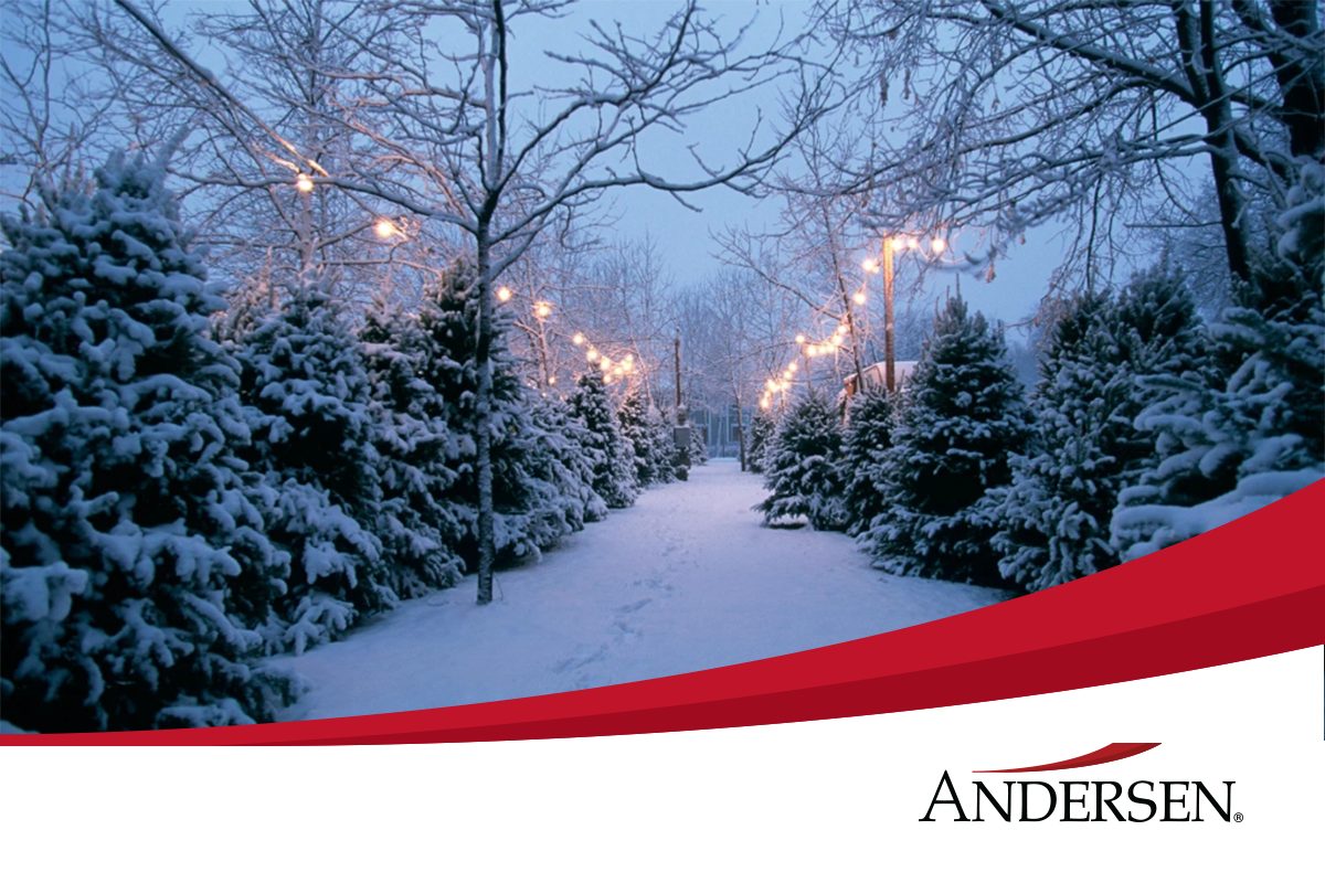 Newsletter - December 2024