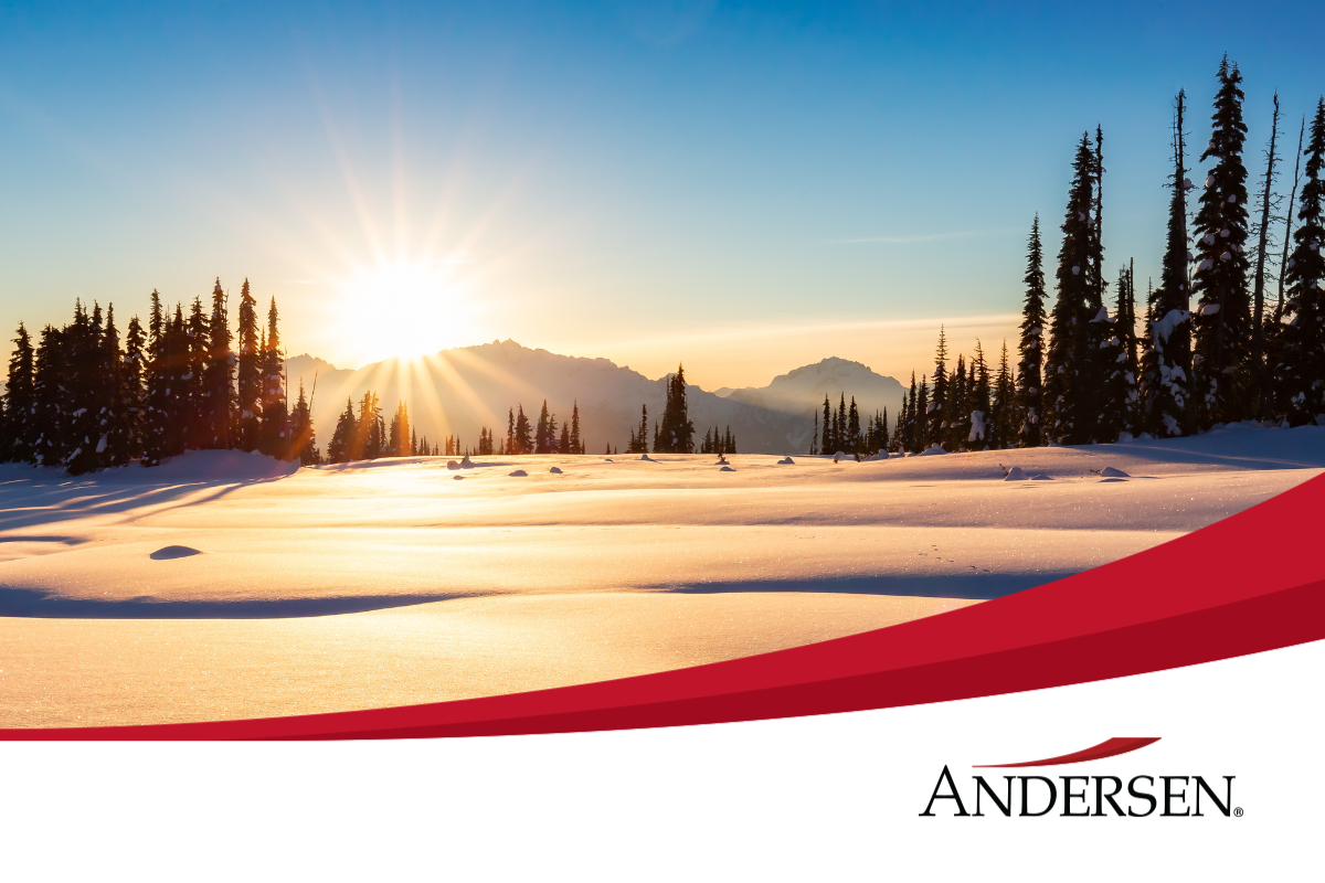 Newsletter - January 2025