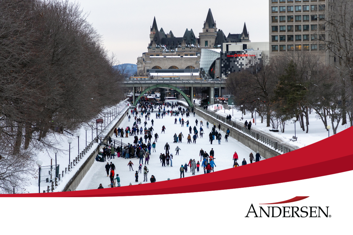 Newsletter - February 2026